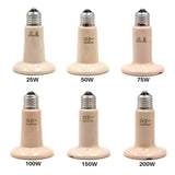 5 lampes chauffantes en céramiques pour animaux de compagnie JIECARE