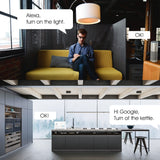 Prise Intelligente Wifi Compatible avec Alexa